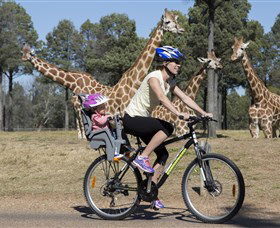 Taronga Western Plains Zoo, Dubbo - Accommodation 4U 2