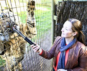 Taronga Western Plains Zoo, Dubbo - Accommodation 4U 3