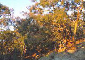 Mount Alexander Regional Park - Accommodation 4U 0