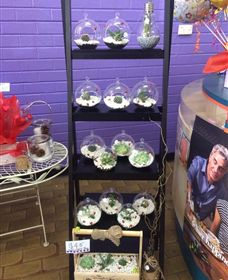 Cobram Florist - Accommodation 4U 3