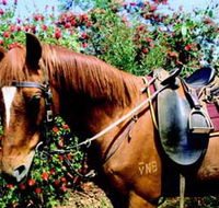 Western Plains Riding Centre - Accommodation 4U