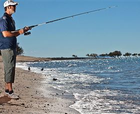 Dugong Sanctuary - Clairview - Accommodation 4U 3