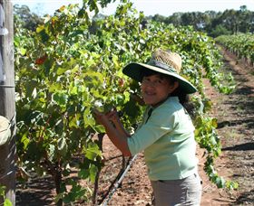 Domaine Asmara - Accommodation 4U 6
