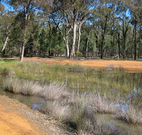 Beni State Conservation Area - Accommodation 4U