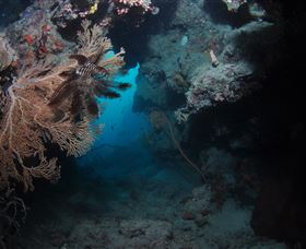 Luncheon Bay Dive Site - Accommodation 4U 2