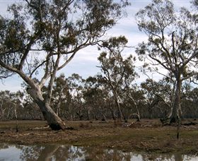 Murchison Rail Trail - Accommodation 4U 1