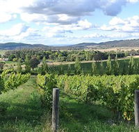 Sassy Wines - Accommodation 4U