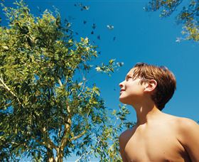 Bushwalking On Keswick Island - Accommodation 4U 0