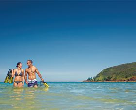 Snorkelling On Keswick Island - Accommodation 4U 0