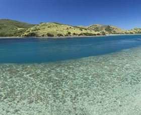 Snorkelling On Keswick Island - Accommodation 4U 1