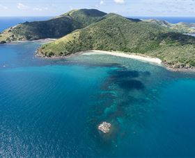 Snorkelling On Keswick Island - Accommodation 4U 2