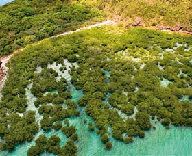 The Singapore Shipwreck Dive Site - Keswick Island - Accommodation 4U 0