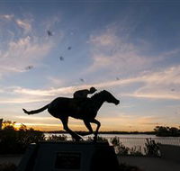 Black Caviar Statue - Accommodation 4U