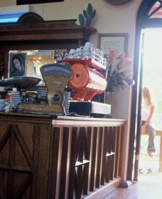 Cactus Cafe And Gallery - Accommodation 4U 1