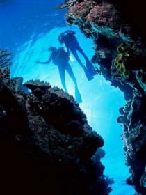 Caves And Canyons Dive Site - Accommodation 4U 0