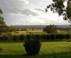 Wollundry Grove Olives - Accommodation 4U 1