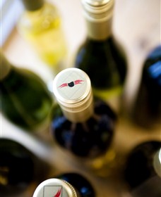 Charles Sturt University Winery Wagga Wagga - Accommodation 4U 2