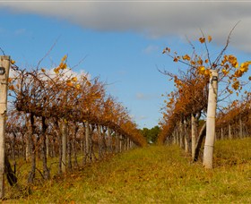 Charles Sturt University Winery Wagga Wagga - Accommodation 4U 3
