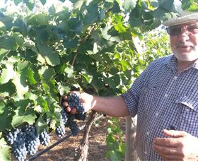 Rosnay Organic Farm And Vineyard - Accommodation 4U 6