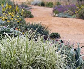 Perennialle Plants Nursery And Garden - Accommodation 4U 1