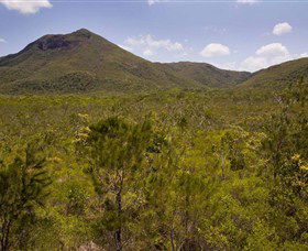 Kutini-Payamu (Iron Range) National Park (CYPAL) - Accommodation 4U 0