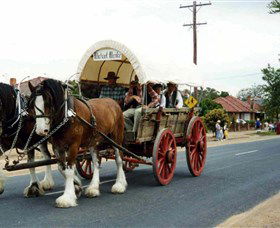 The Trek Wagon Walla Walla - Accommodation 4U 1