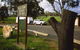 Black Stump Rest Area - thumb 0