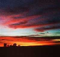 Springview Eco-Farm - Accommodation 4U