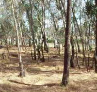 Chiltern-Mt Pilot National Park - Accommodation 4U