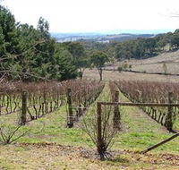 Habitat Vineyard - Accommodation 4U