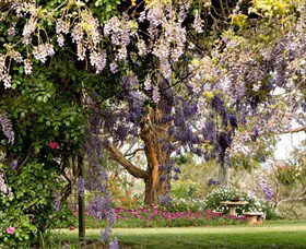 Wombat Heights Orchard And Grog Shed - Accommodation 4U 2