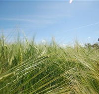 150 Degrees East Meridian - Accommodation 4U