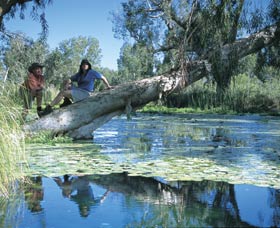 Millstream Chichester National Park - Accommodation 4U 1