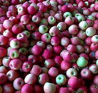 Hillside Orchard - Accommodation 4U