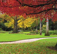 Albury Botanic Gardens - Accommodation 4U