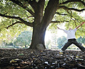 Albury Botanic Gardens - Accommodation 4U 1