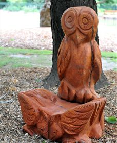 Albury Botanic Gardens - Accommodation 4U 7