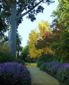 Albury Botanic Gardens - Accommodation 4U 4