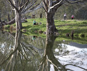 Wagirra Trail And Yindyamarra Sculpture Walk - Accommodation 4U 1