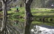 Albury - Murray River Precinct - thumb 3