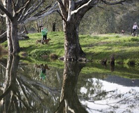 Albury - Murray River Precinct - Accommodation 4U 3