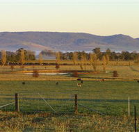 Holbrook Landcare Self-Drive Eco Tour - Accommodation 4U