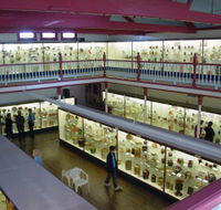 National Museum of Australian Pottery - Accommodation 4U