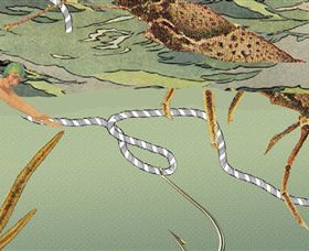 Barwon Booksellers - Accommodation 4U 2