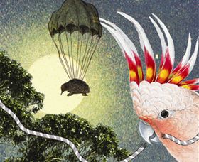 Barwon Booksellers - Accommodation 4U 0