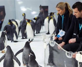 SEA LIFE Melbourne Aquarium - Accommodation 4U 2