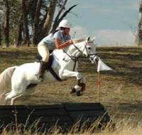 National Equestrian Centre - Kerrabee - Accommodation 4U