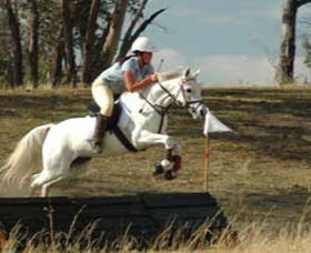 National Equestrian Centre - Kerrabee - Accommodation 4U 0