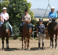 Forest Park Riding and Equitation School - Accommodation 4U