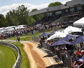 Thoroughbred Park Canberra Racing Club - Horse Racing In The Nations Capital - Accommodation 4U 0